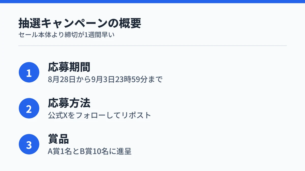 X抽選キャンペーンの応募期間、応募方法、賞品の3点をまとめた図