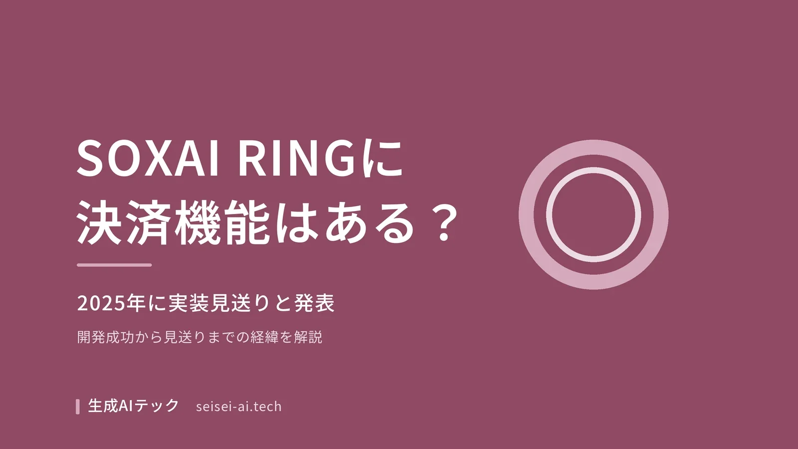 SOXAI RINGの決済機能の現状（非搭載）を紹介する記事の表紙
